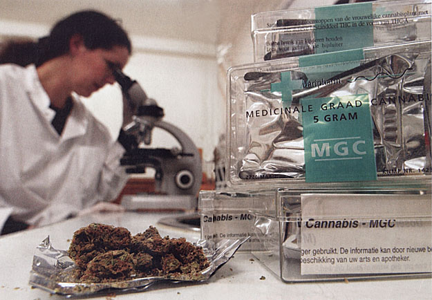 A marihuána orvosi célú kutatása is új lendületet vett