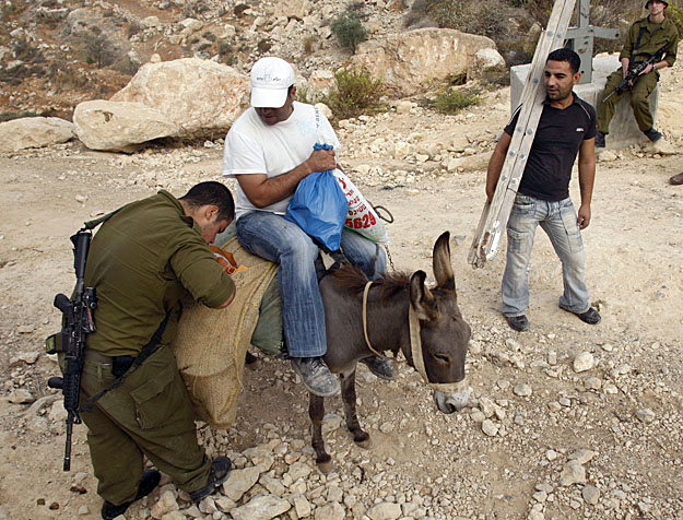 A ciszjordániai Nablus közelében izraeli katona ellenőrzi egy palesztin paraszt csomagját