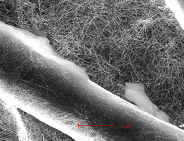 Pamutszálak mélyednek a nanoméretű ezüstszálacskák tömegébe a pásztázó elektronmikroszkópos felvételen