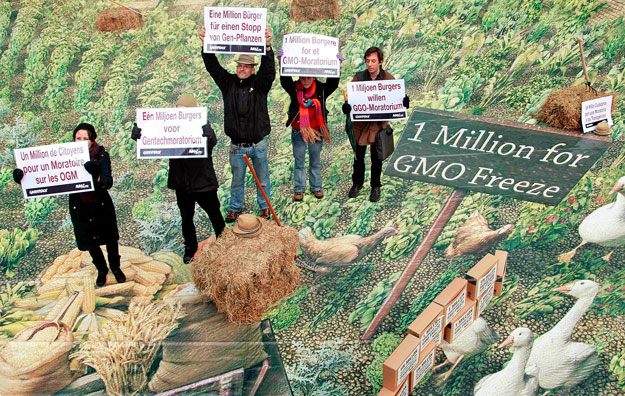 Greenpeace-aktivisták egy egymillió uniós állampolgár által aláírt GMO-ellenes petíciót adnak át az Európai Bizottság brüsszeli központja előtt