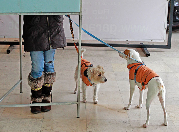 Szavazófülke Lisszabonban