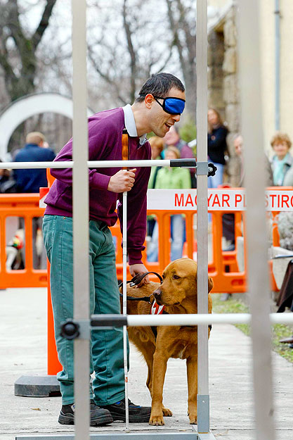 Vakvezető kutya és gazdája egy akadályversenyen