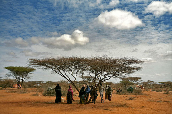 Szomália két évtizede éhezik